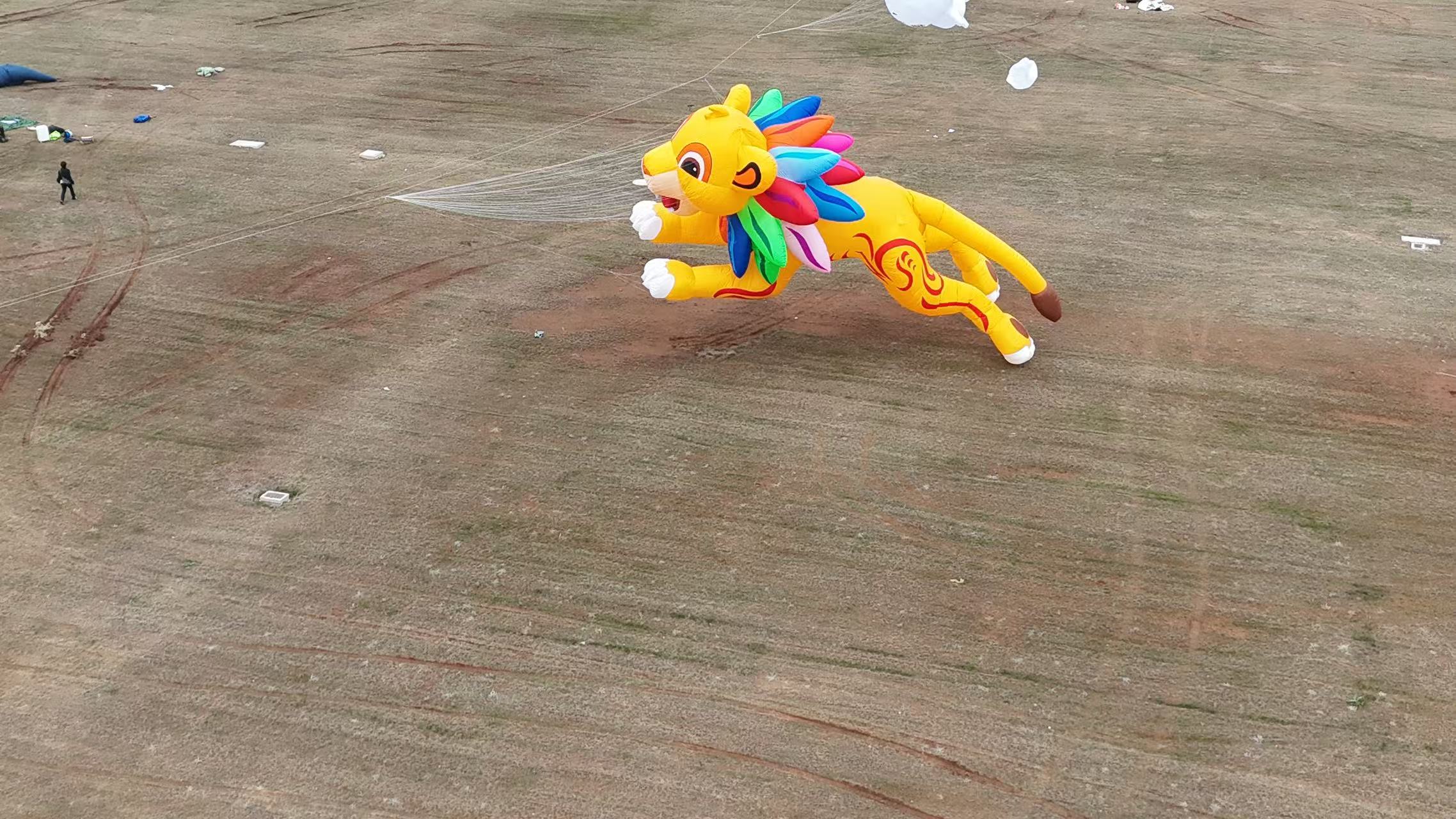 无锡市品牌风筝定制风筝定制 - 排名
